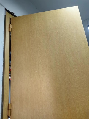 Porta a prova di rumore a destra interna H2425*W950*70 mm per riduzione del rumore e privacy