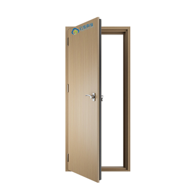 Dimensione personalizzata 2100*900mm Acciaio ignifugo interno Acustico Porta insonorizzata Produttore